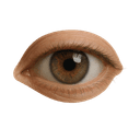 Vision Icon