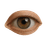 Vision Icon