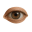 Vision Icon